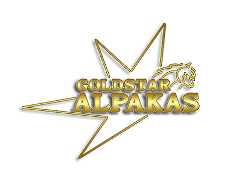 Goldstar Alpakas Logo